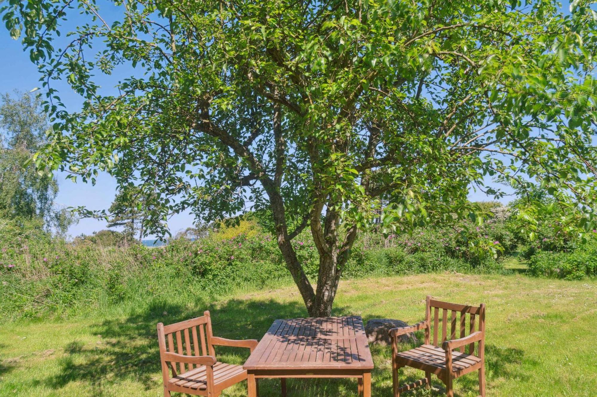 Idyllic Coastal Cottage Comfort And Relaxing Kalundborg Zewnętrze zdjęcie